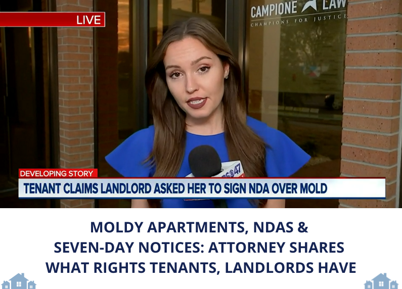 Moldy apartments, NDAs & seven-day notices: attorney shares what rights tenants, landlords have